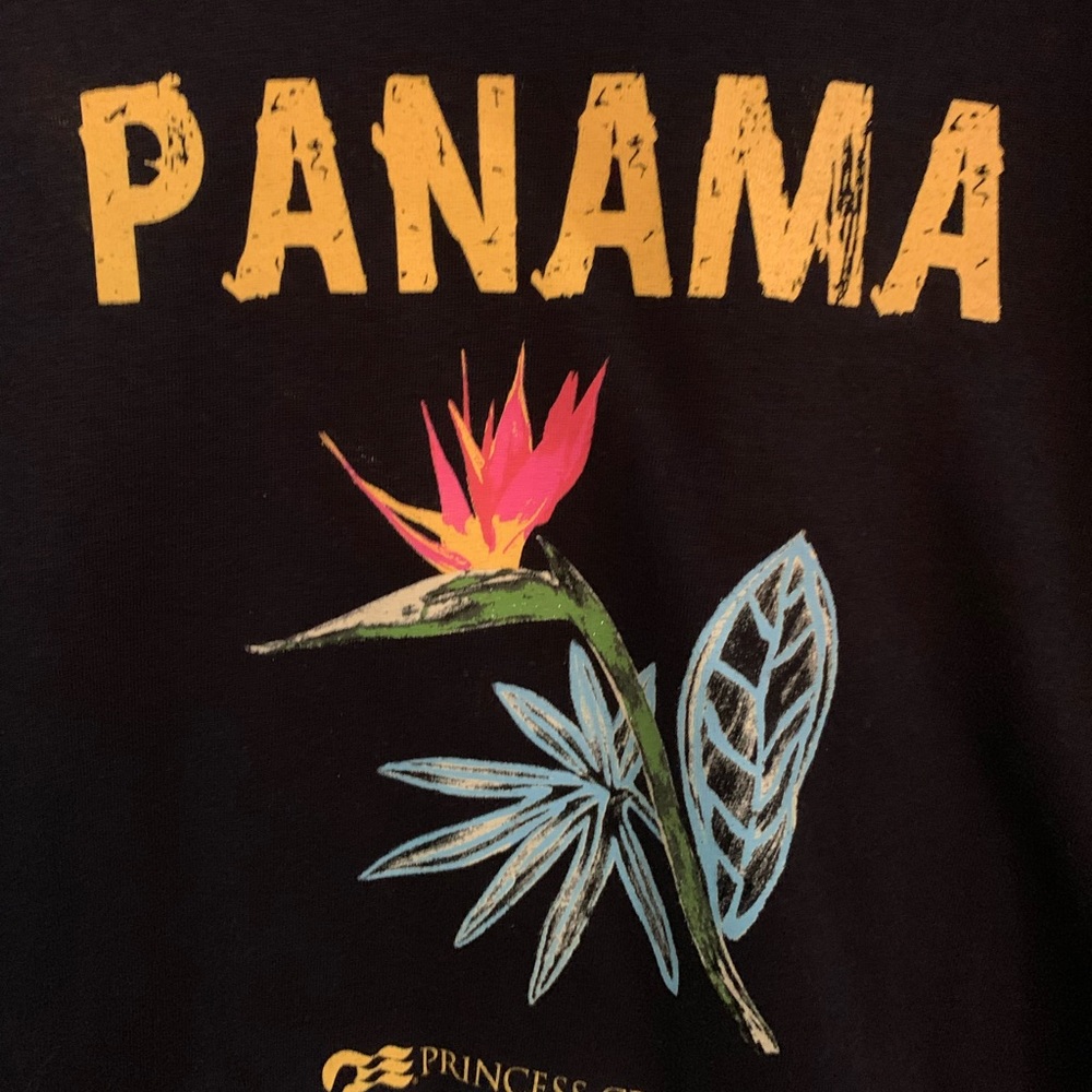 Panama Crop Top